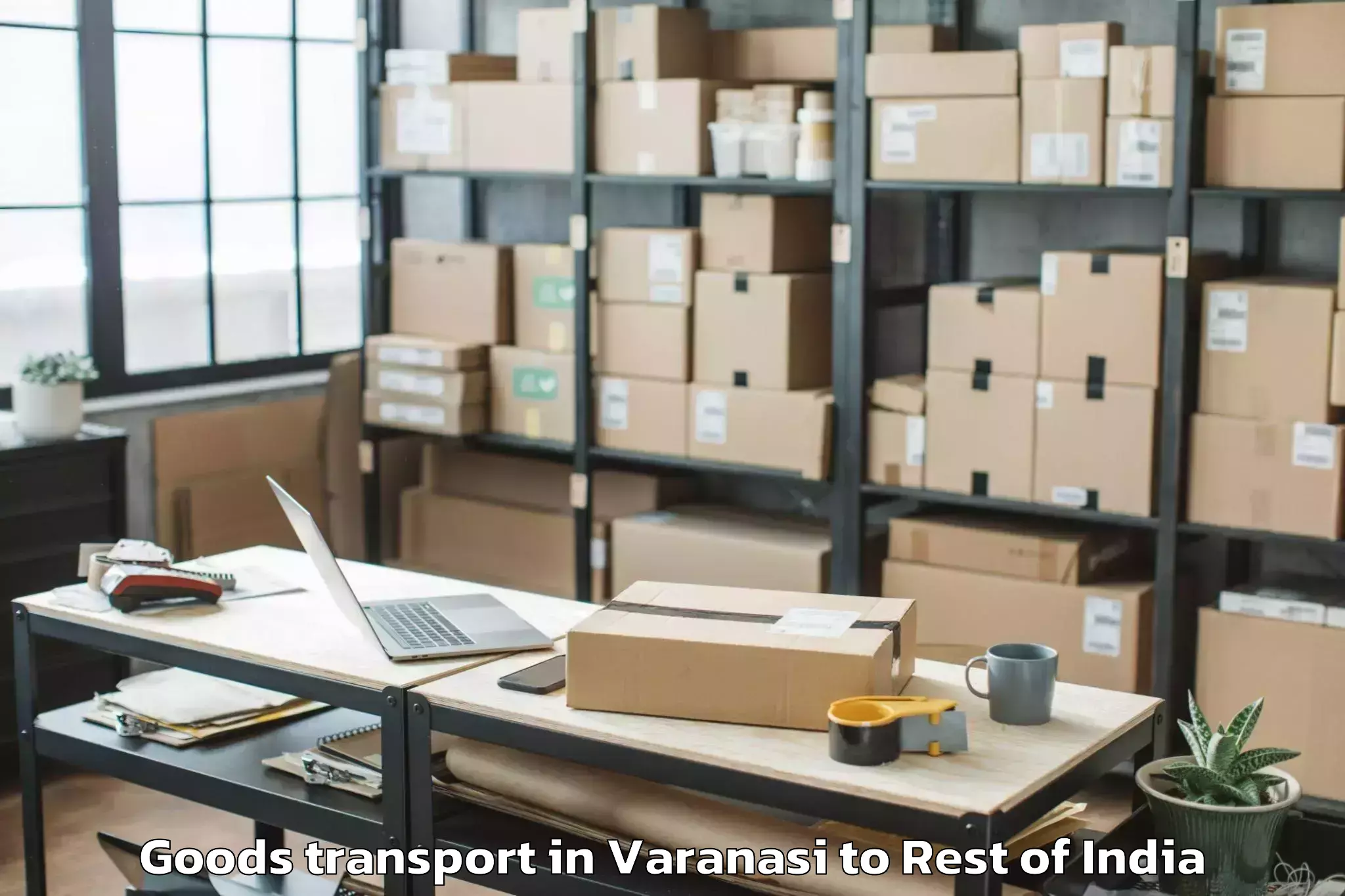 Book Varanasi to Nimaaj Goods Transport